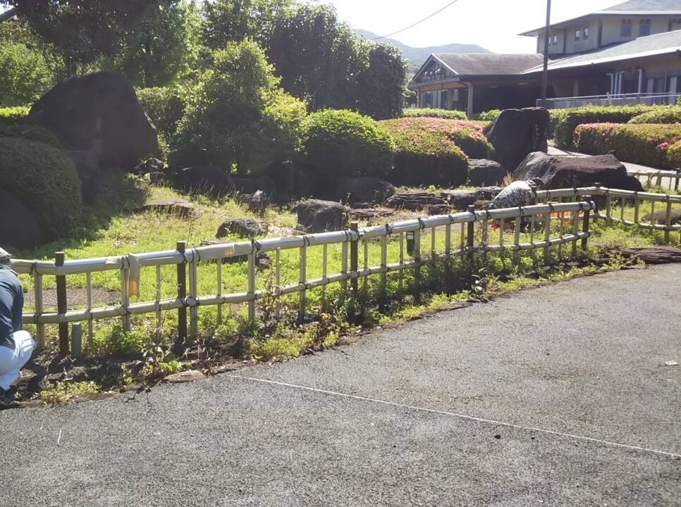 新年度の作業が始まりました🍀🍀🍀